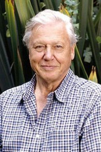 David Attenborough