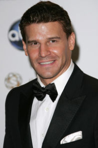 David Boreanaz