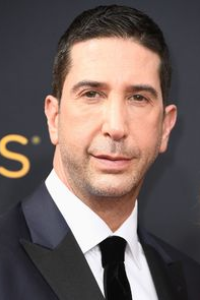 David Schwimmer