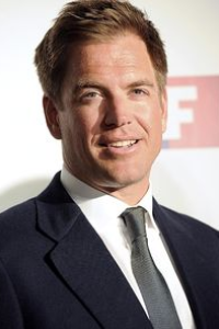 Michael Weatherly