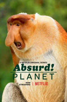 Absurd Planet