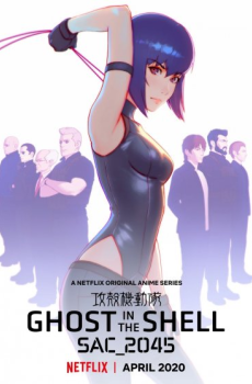 Ghost in the Shell SAC_2045