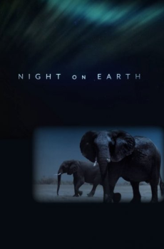 Night on Earth