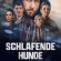 Schlafende Hunde