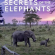 Secrets of the Elephants