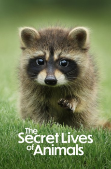 The Secret Lives of Animals