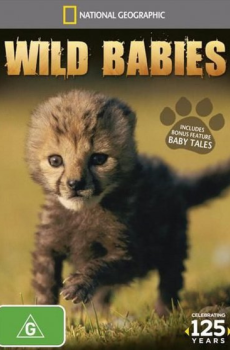 Wild Babies