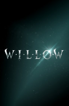 Willow