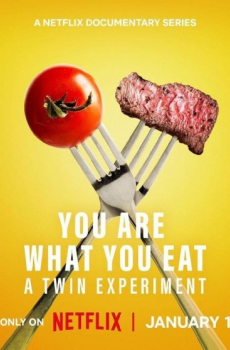 You Are What You Eat: A Twin Experiment